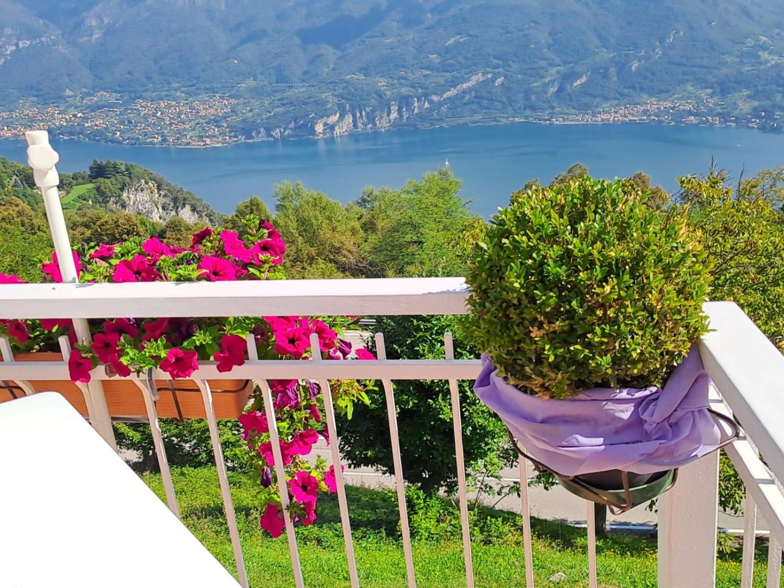 Provinciale 79 Hotel Magreglio Екстериор снимка